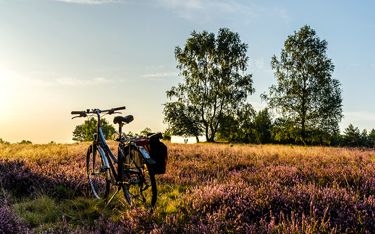 Mit dem Fahrrad durch die Lüneburger Heide