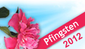 Jetzt die besten Angebote zu Pfingsten sichern Pfingstose