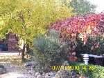 Beim Spaziergang Beim Spaziergang
