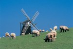 Kurlauber lieben Pellworm in Schleswig-Holstein Kurlauber lieben Pellworm in Schleswig-Holstein