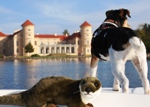 Reisereportage: Selbst Bootskapit�n sein in Brandenburg
