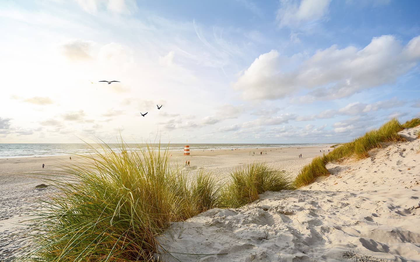 Aussicht auf schöne Landschaft mit Strand- und Sanddünen in der Nähe von Henne Strand, Nordseeküstenlandschaft, Jütland Dänemark