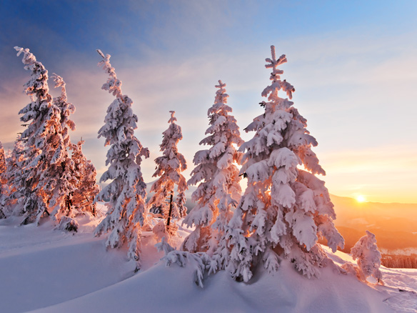 vorschaubild die schönsten fotomotive im winterurlaub