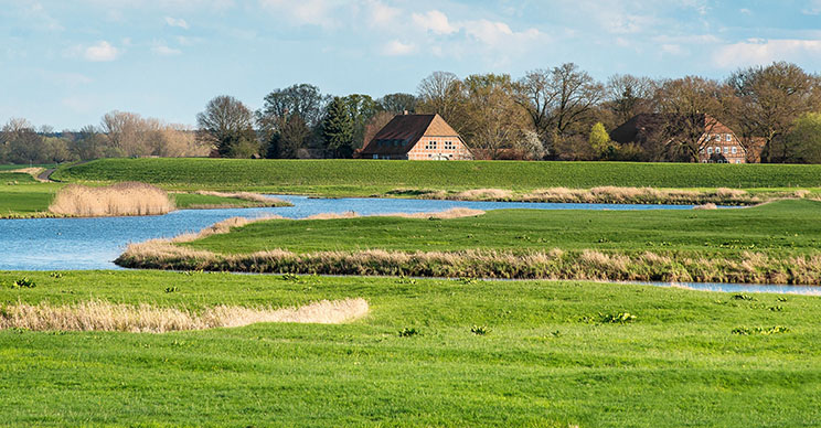 Ökourlaub im Biosphärenreservat Flusslandschaft Elbe-Brandenburg