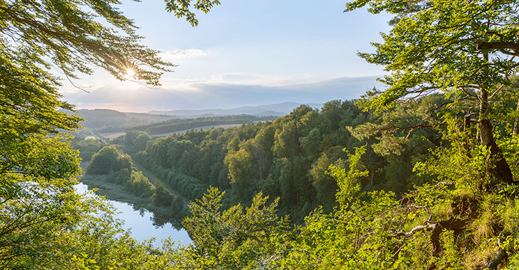 Das Naturkosthotel Harz ist vor allem für Rohkost-Gourmets eine Empfehlung