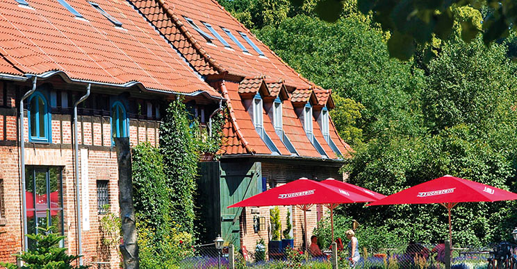 Das Biohotel Gutshof Usedom bietet im Sommer mediterrane Idylle
