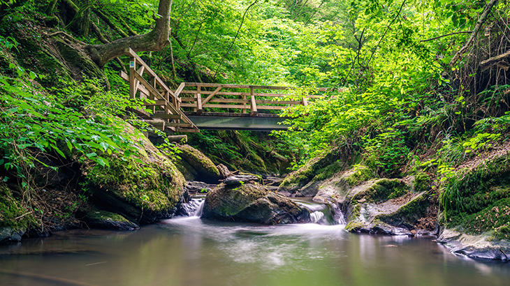 Ehrbachklamm