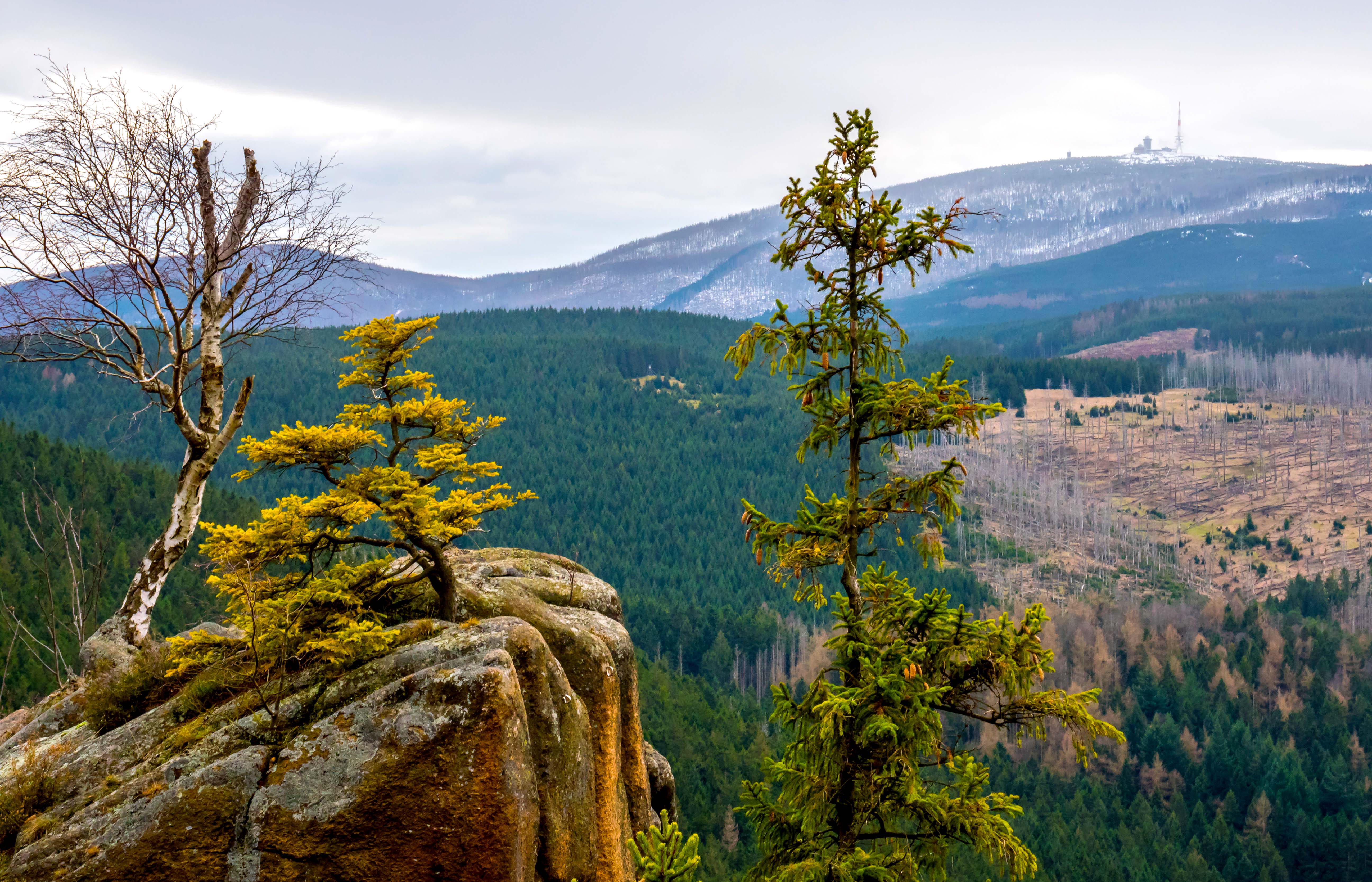 Ausblick vom Brocken im Mittelgebirge Harz