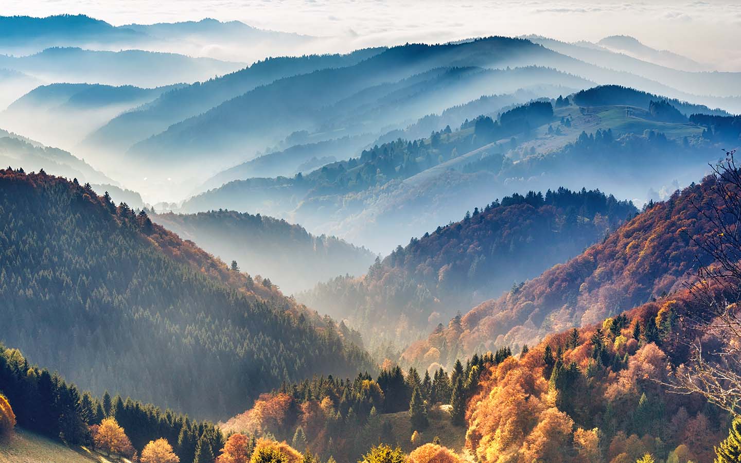 Landschaft der Berge. Blick auf den Schwarzwald, Deutschland, bedeckt von Nebel