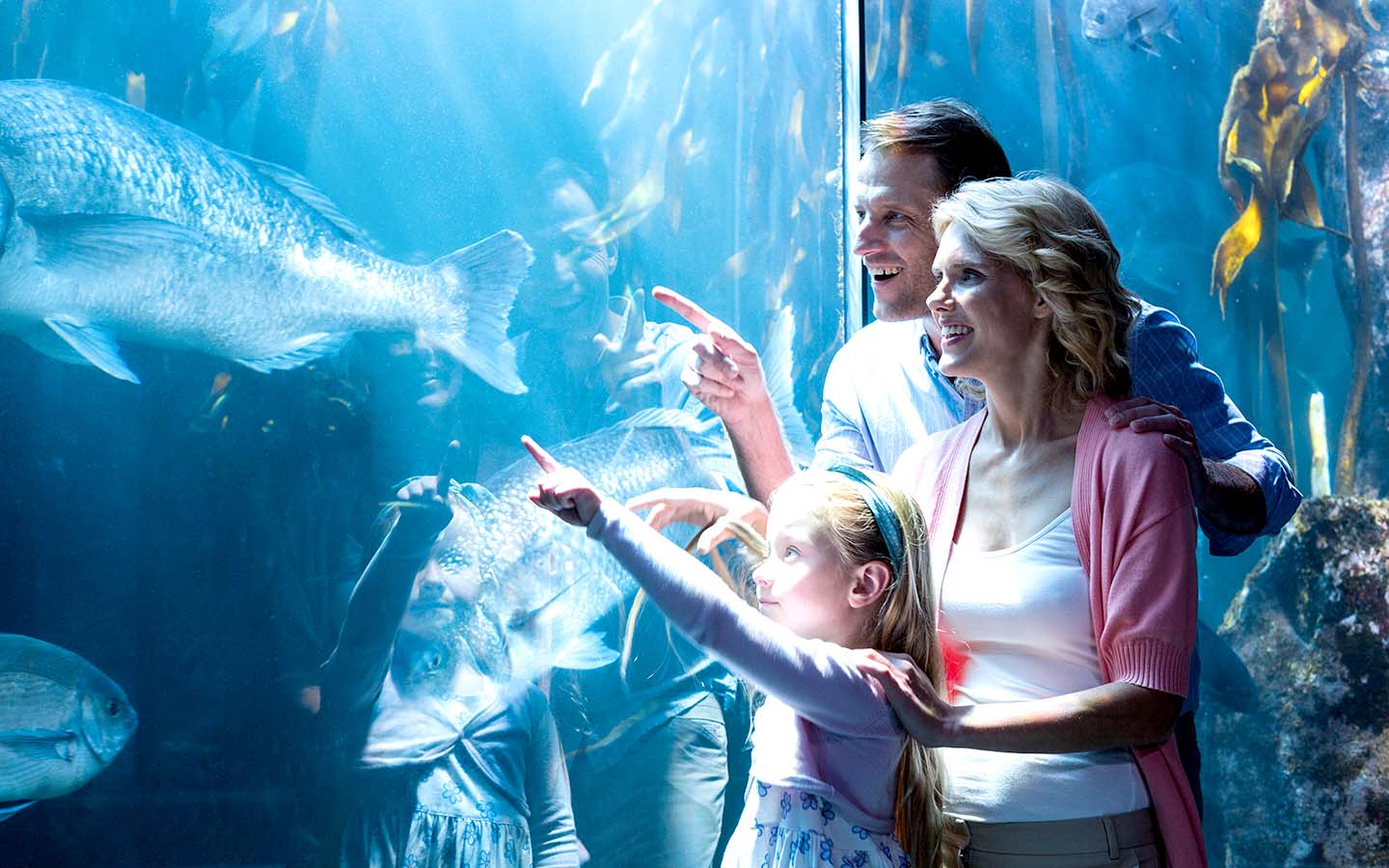 Familie zeigt auf einen Fisch im Aquarium