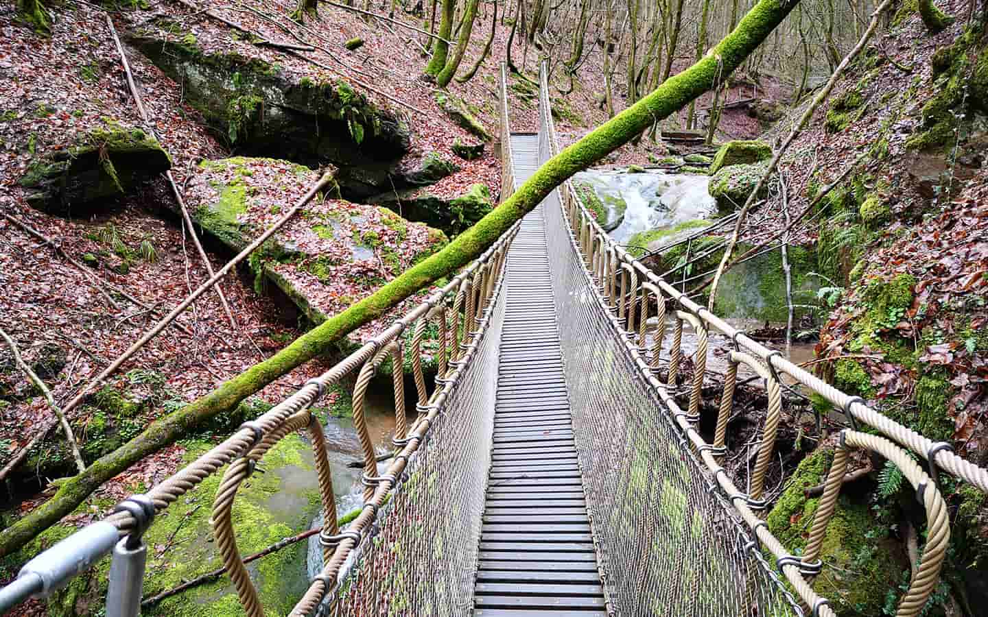 Hängebrücke beim Eifelsteig, Deutschland