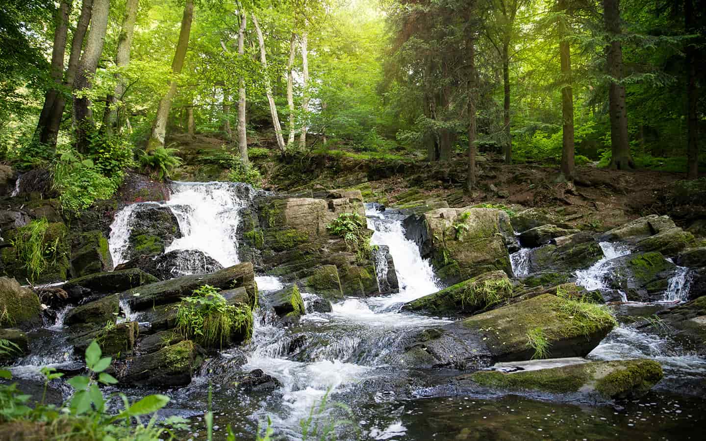 Wasserfall im Harz, Selke Wasserfall, Deutschland 