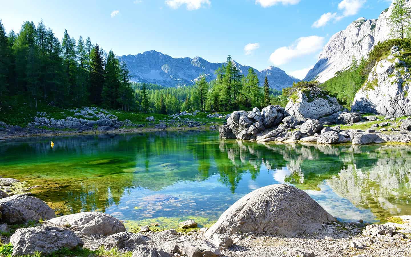 Panoramablick auf den Doppelsee oder Dvojno jezero im Triglav-Seetal in Julischen Alpen und Triglav-Nationalpark