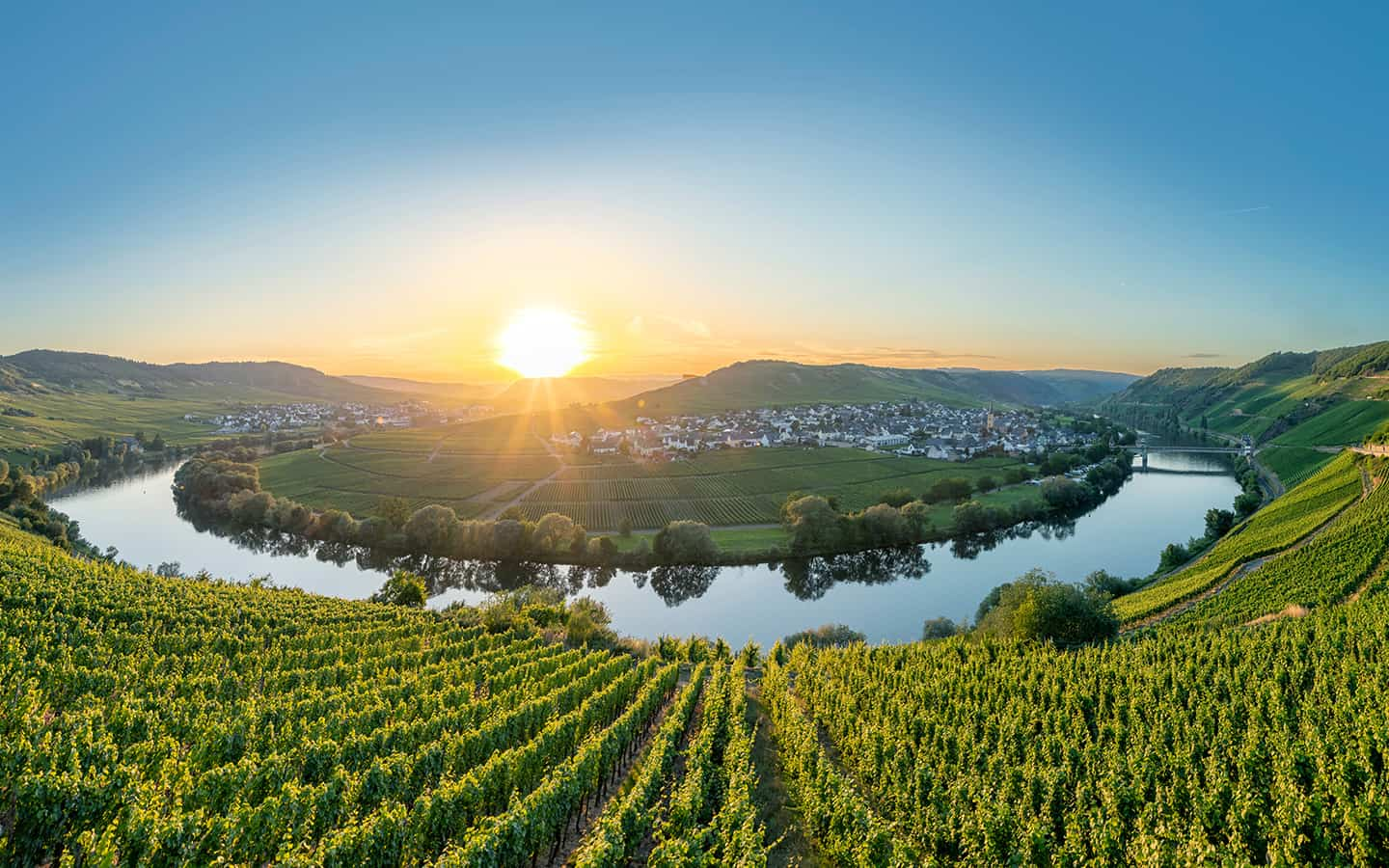 Weinregion Mosel