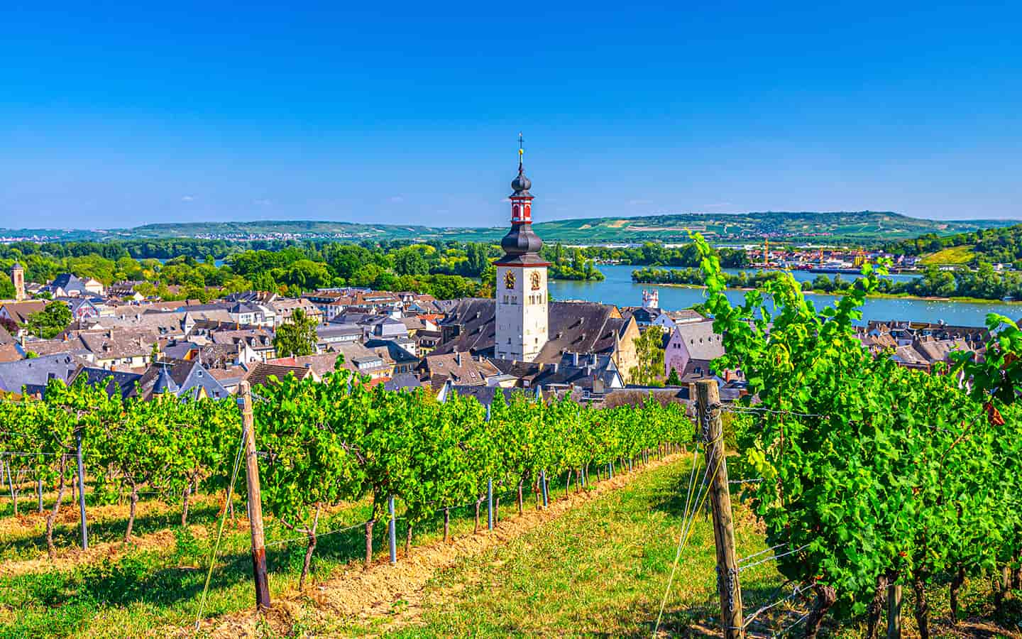 Weinregion Rheinhessen