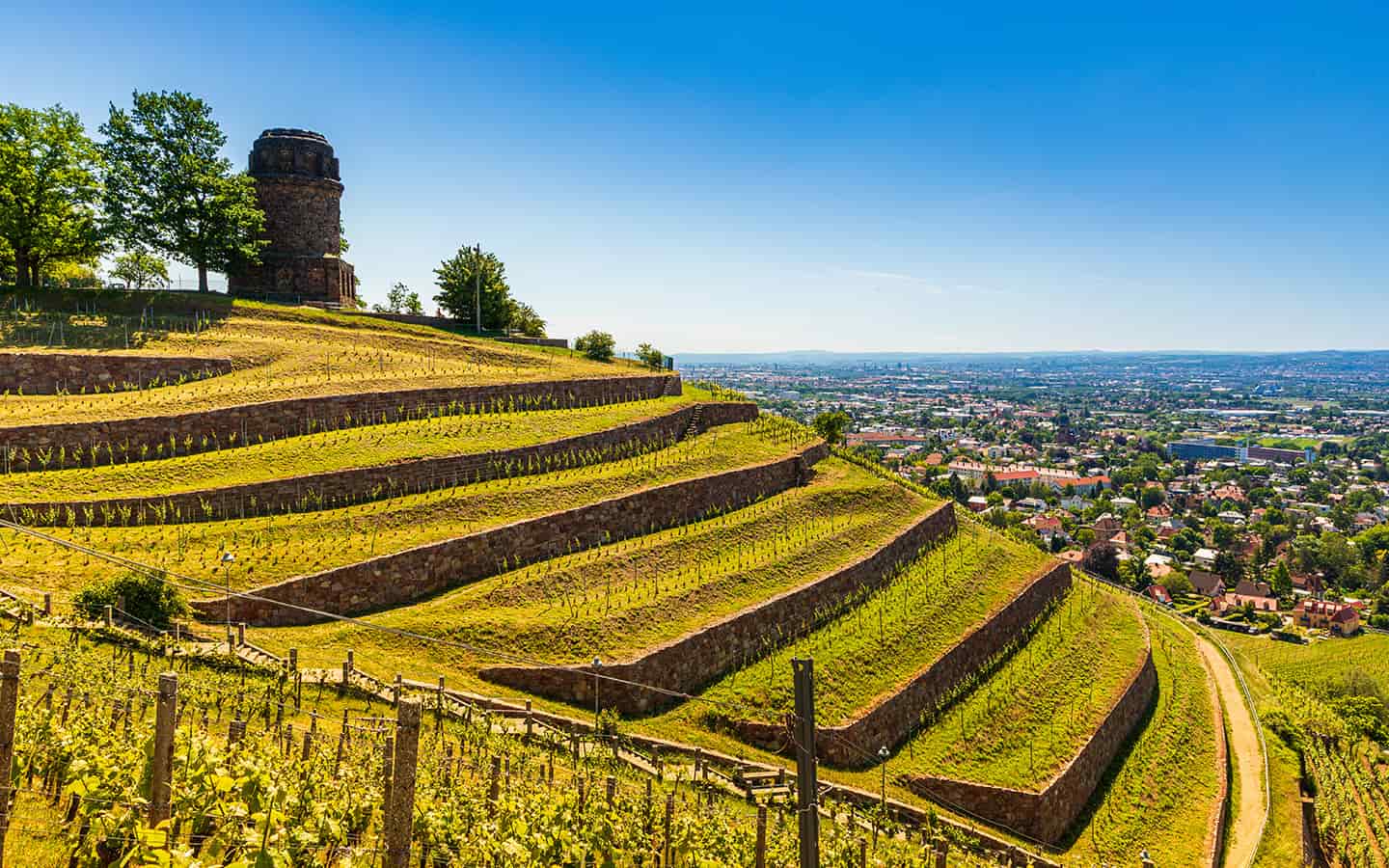 Weinregion Sachsen