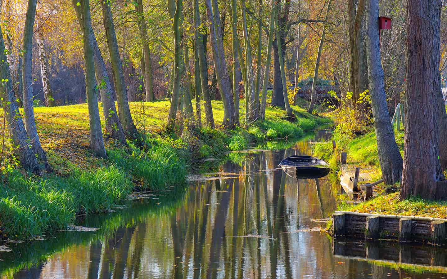 Spreewald im Herbst, Brandenburg