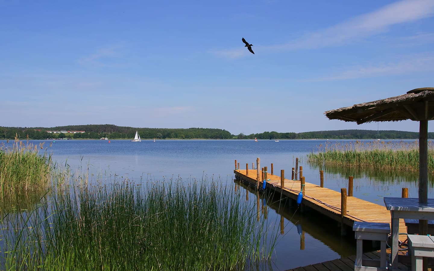 Woblitz See im Nationalpark Müritz, Mecklenburg Hochplateau