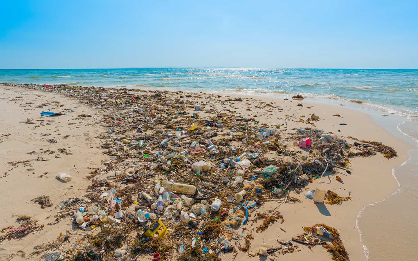 an den Strand gespülte Plastikabfälle