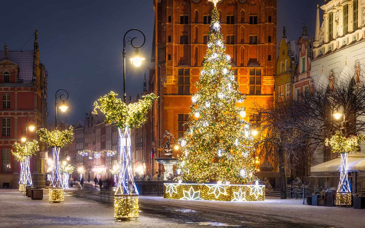 Schöner Weihnachtsbaum in der Altstadt von Danzig in der Winternacht, Polen