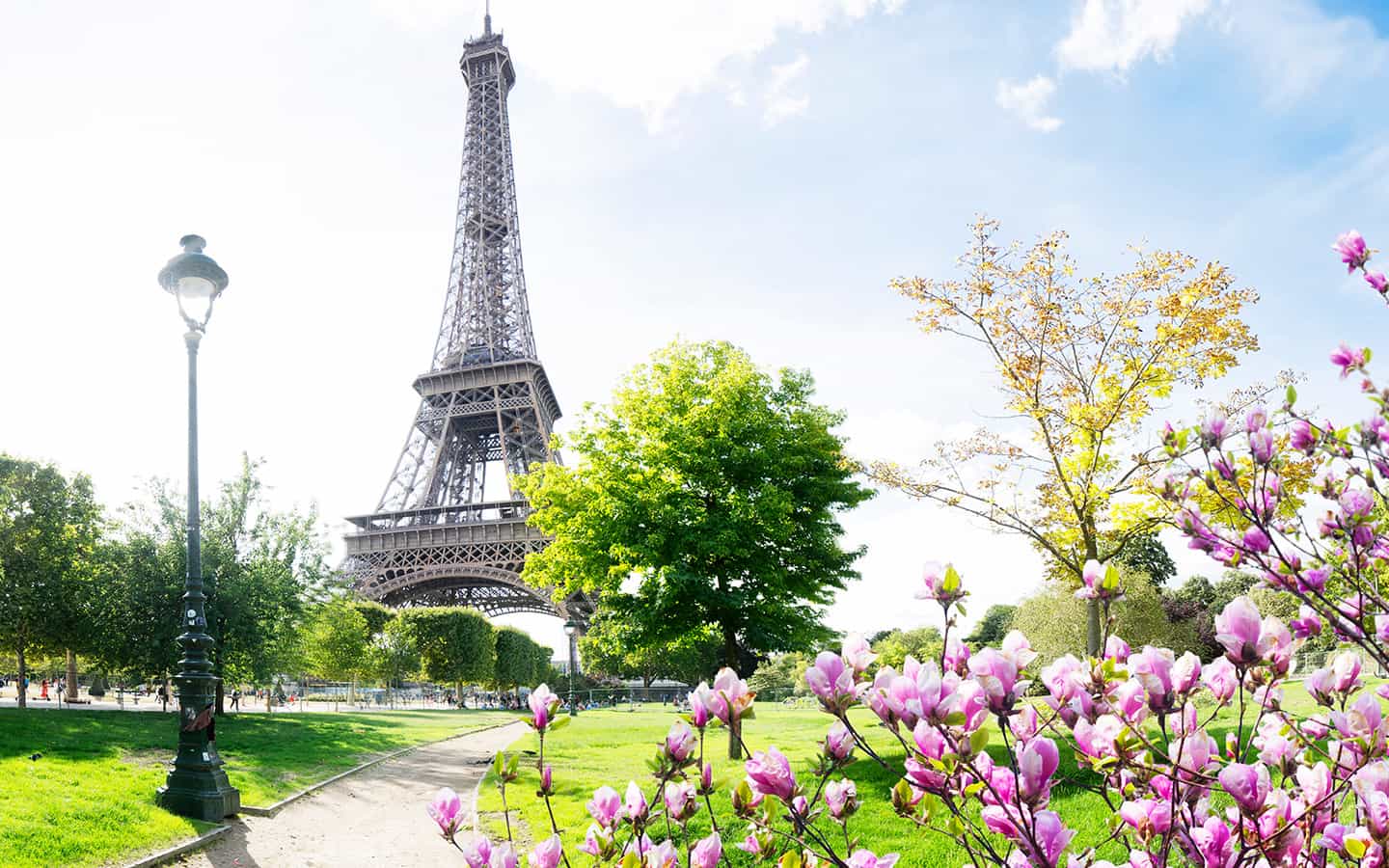 Eiffelturm mit Parkweg in Paris im Frühjahr, Frankreich