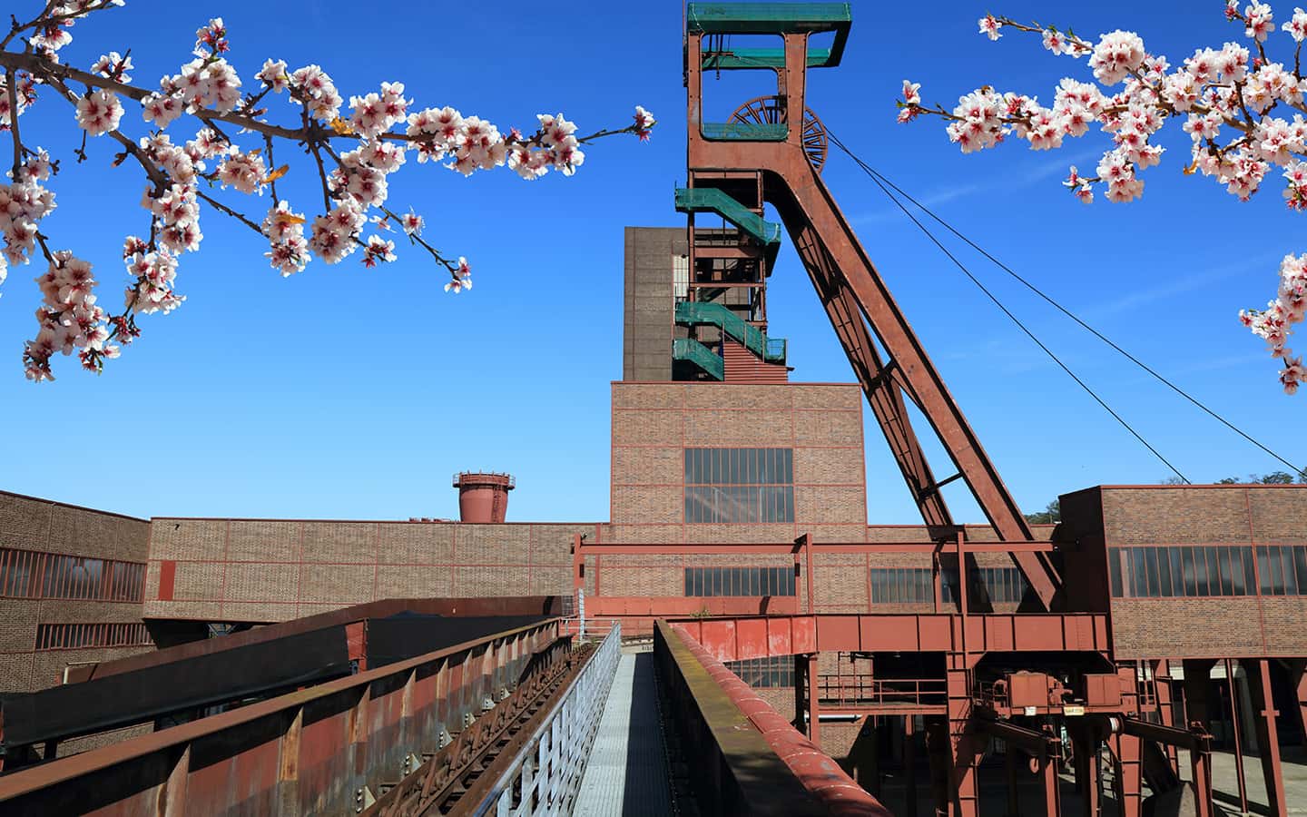 Essen, Deutschland. Industrieerbe der Ruhrregion Zollverein. Frühlingszeit Kirschblüten