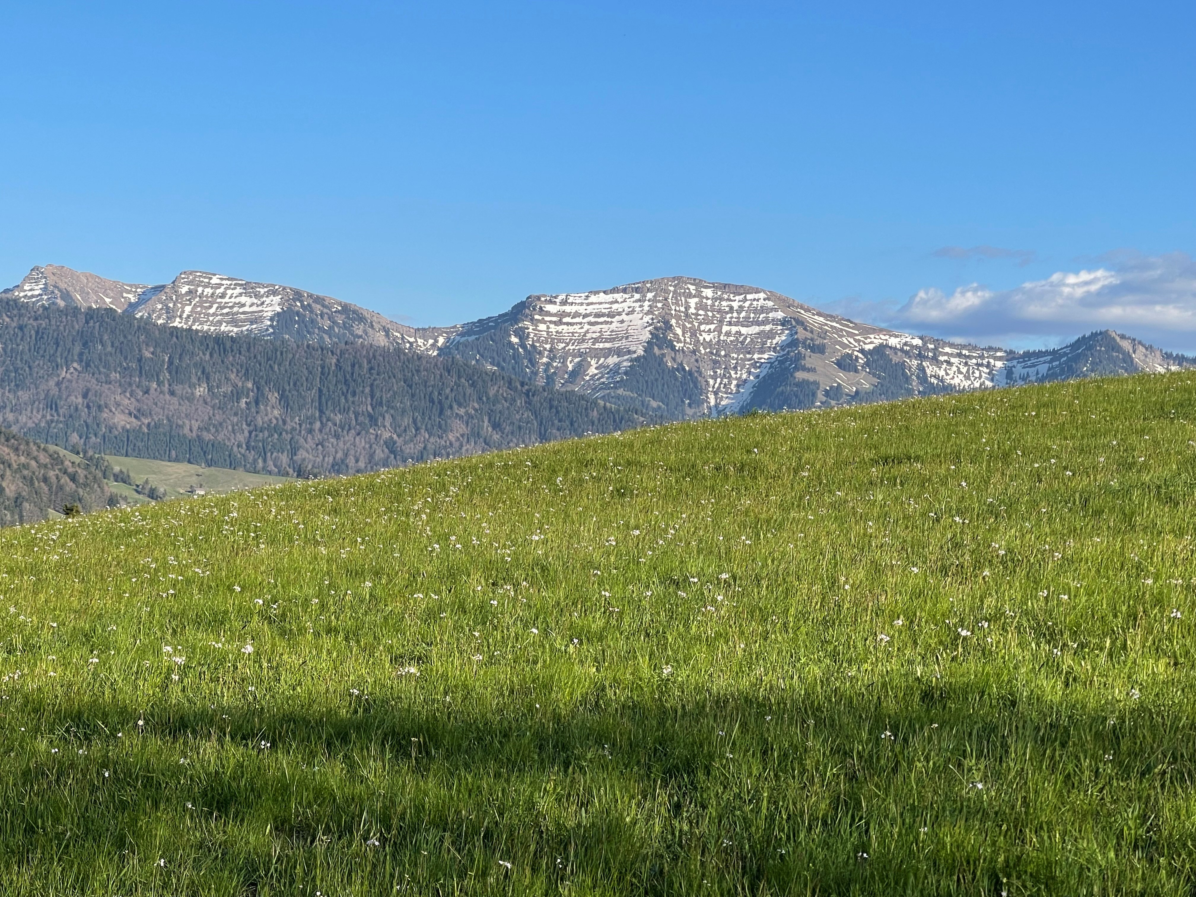 Hotel Bavaria: Prime Location and Wellness Retreat - News Directory 3